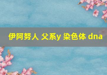 伊阿努人 父系y 染色体 dna